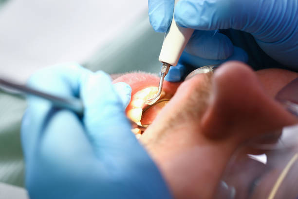 Best Emergency Pediatric Dental Care in Forest Meadows, CA